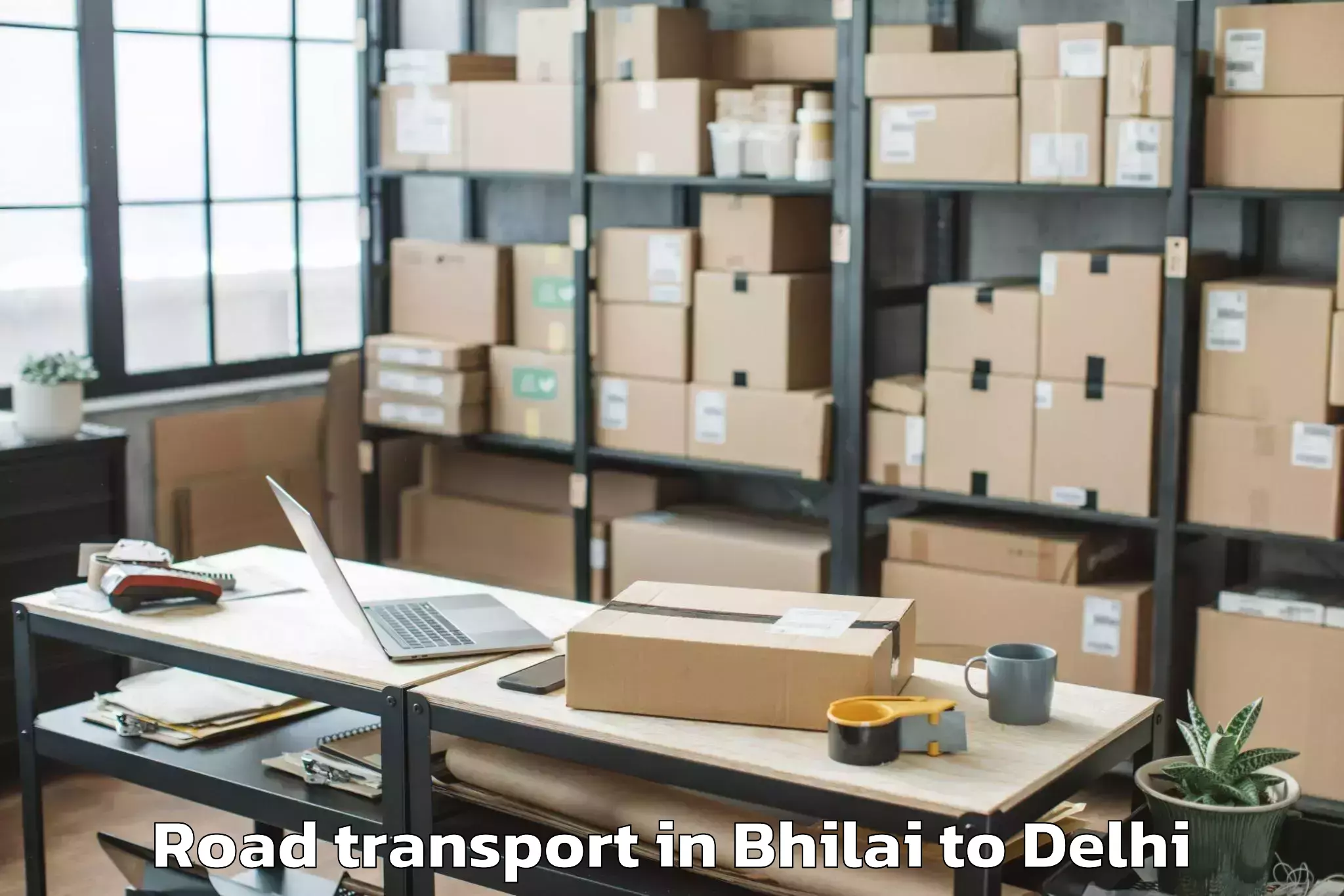 Expert Bhilai to D Mall Pitampura Road Transport